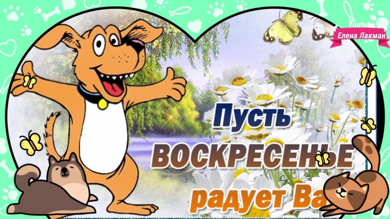 Good morning ! Spend your Sunday usefully. Have a good mood this weekend. 2023 С