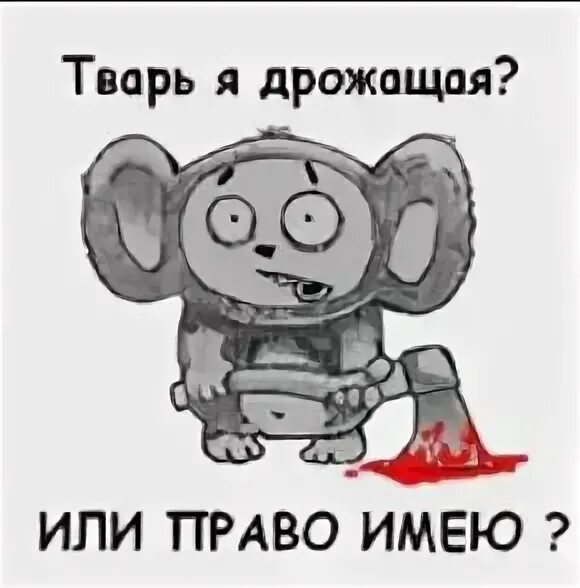 Тварь дрожащая или пра. Тварь я дрожащая или право имею цитата. Тварь я дрожащая или. Тварь я дрожащая или право имею цитата. Тварь дрожащая или правоимеюший.