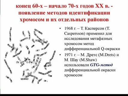 Установление увеличенного набора хромосом метод