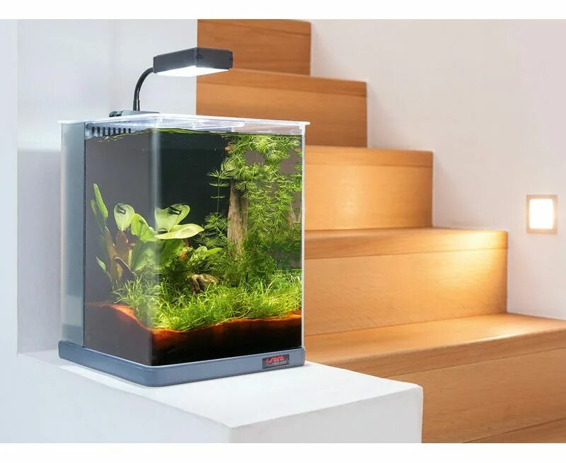 Cube 16. Аквариум Biotop Nano led Cube 16. Аквариум Sera Biotop Nano led Cube. Аквариум Sera Biotop Cube 130л. Sera подставка для Biotop Nano Cube 60.