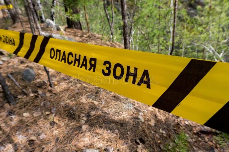 Таблички в лесу опасные. Предупреждающие таблички в лесу. Стой опасная зона табличка. Знак опасно в лесу.