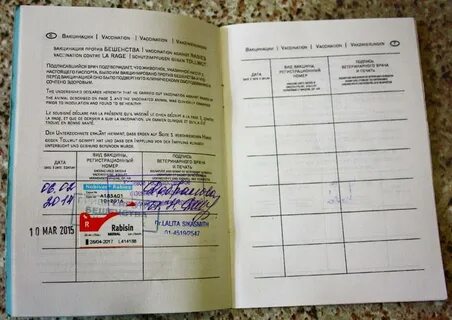 Прививка перед поездкой