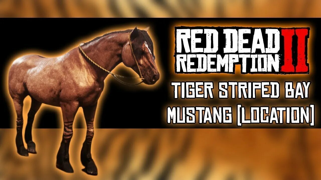 Тигровый мустанг. Мустанг лошадь в рдр 2. Red dead redemption 2 лошади мустанг. Мустанг тигровая гнедая. Red dead redemption 2 mustang.