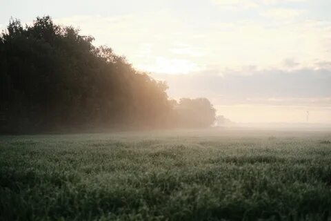 Morning low