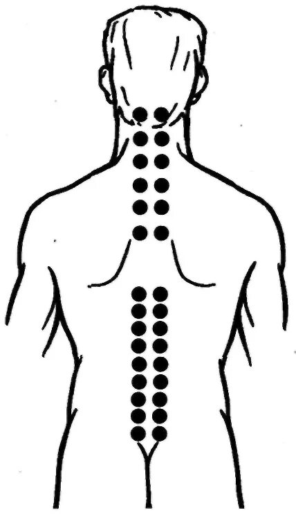 Паравертебральные точки на спине. Паравертебральная зона позвоночника. Паравертебральные точки поясничного отдела позвоночника. Точки позвоночника на спине.