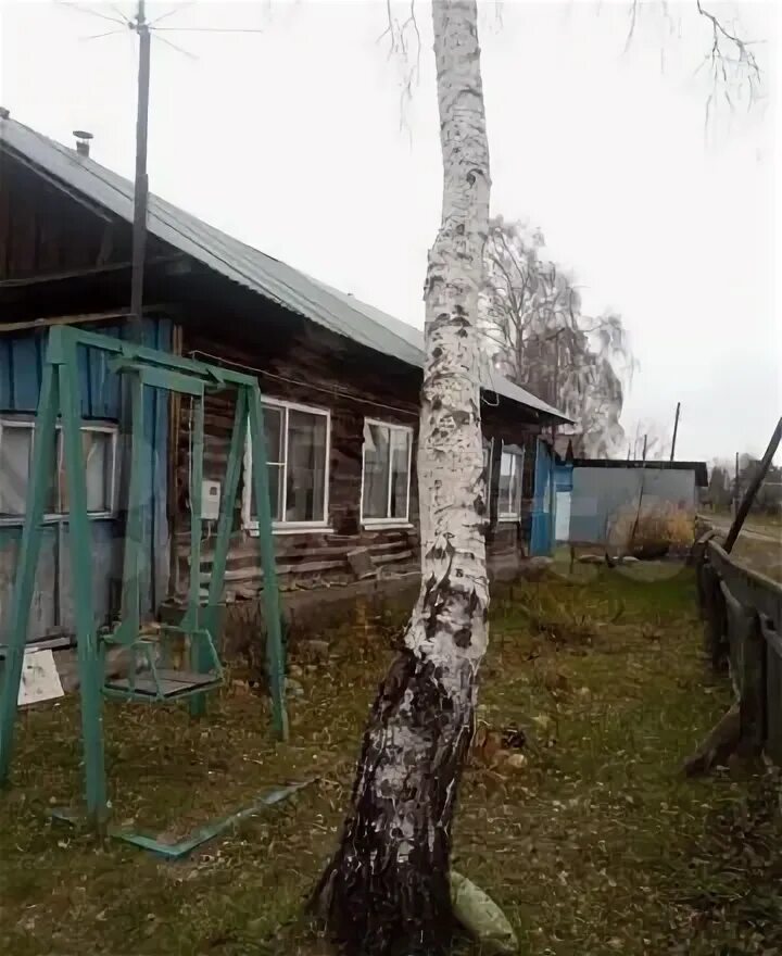 Село Шульгин Лог. Шульгин Лог Алтайский край. Шульгин Лог Алтайской волости. Алтайский край Советский район село Шульгин Лог Октябрьская 121. Погода шульгин лог советского