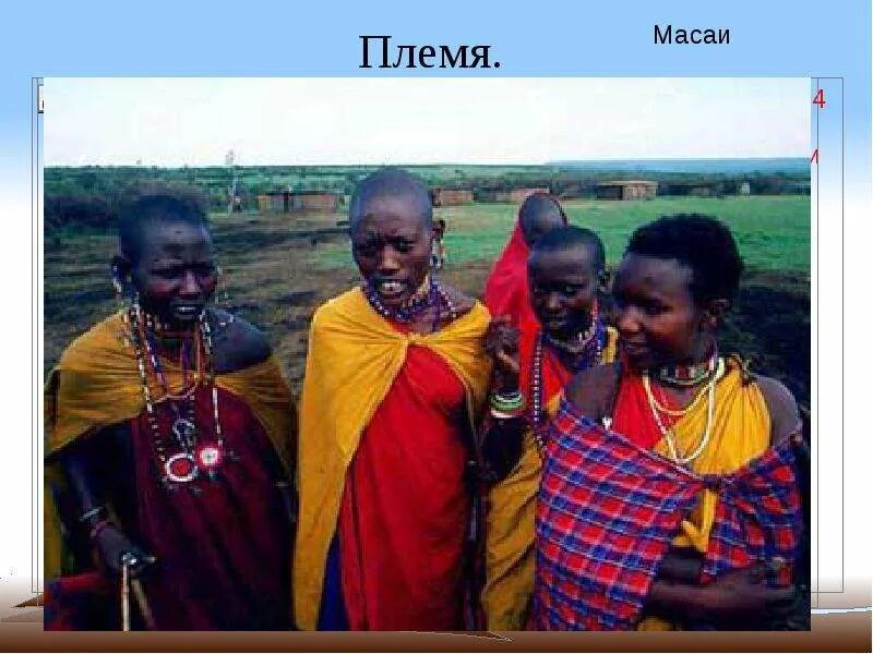 Народы земли. Масаи племя в африке. Моко маори. Суахили народ африки. Кения племя масаи.