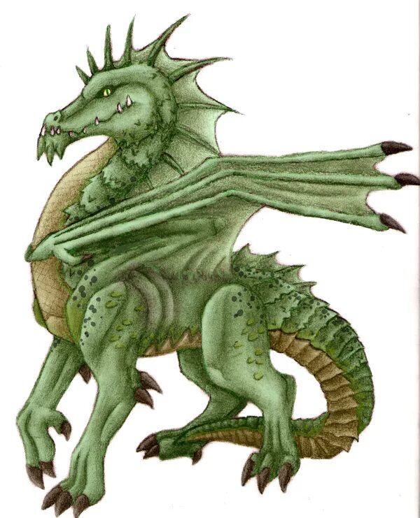 Рисунок зеленого деревянного дракона. Зеленый дракон ДНД. Зеленый дракон DND. Молодой зеленый дракон ДНД 5. DND молодой зеленый дракон.