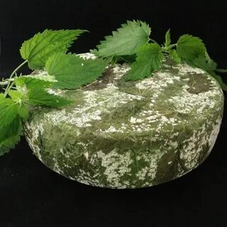 Сырая крапива