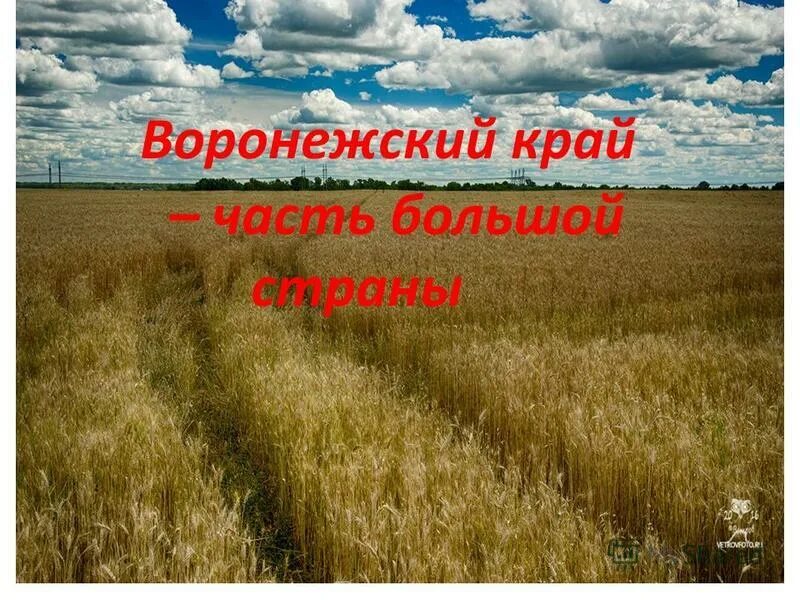 Проект воронеж мой город