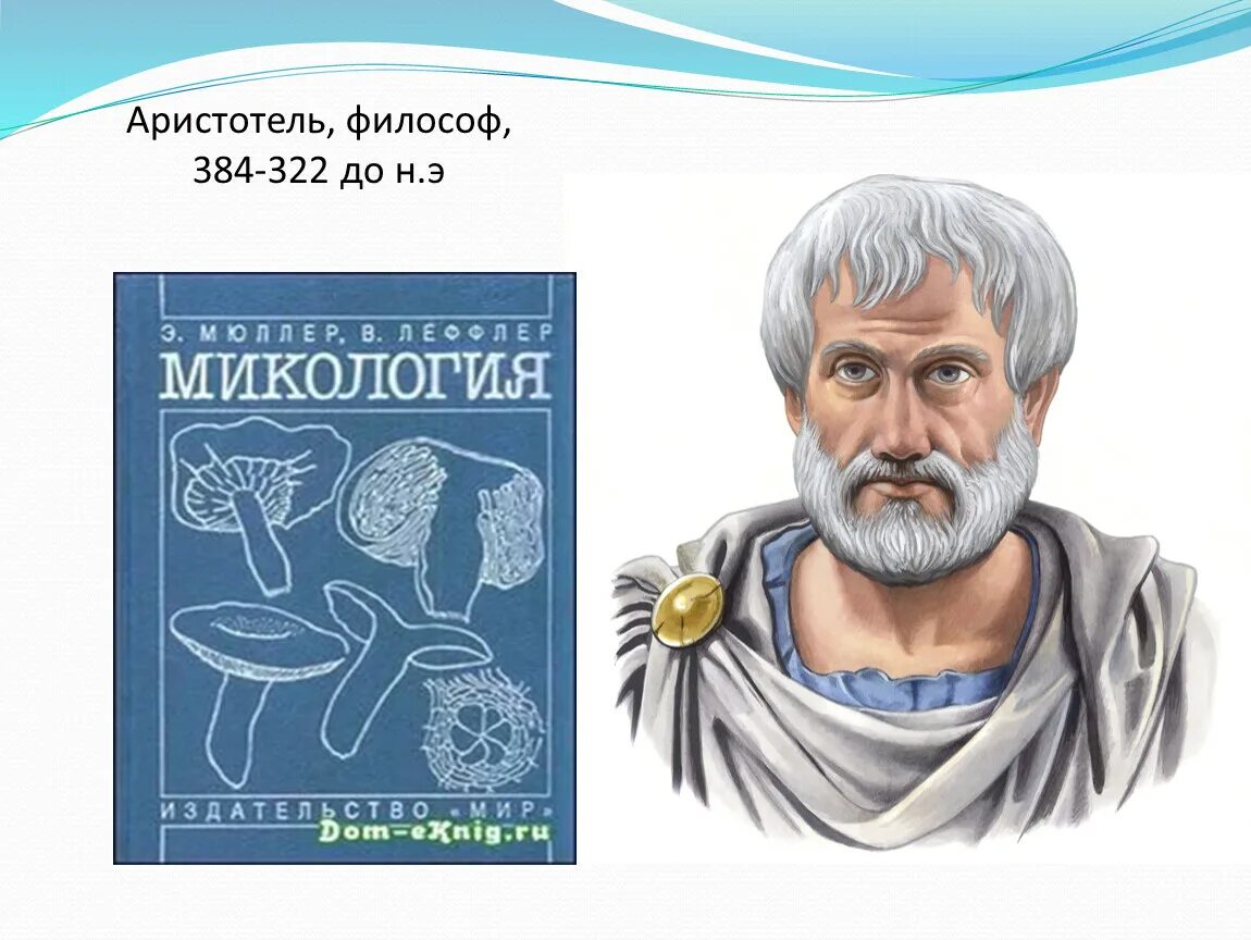 Аристотель 384-322 до н.э. Аристотель философ. Аристотель картина. Первая Аналитика Аристотеля.