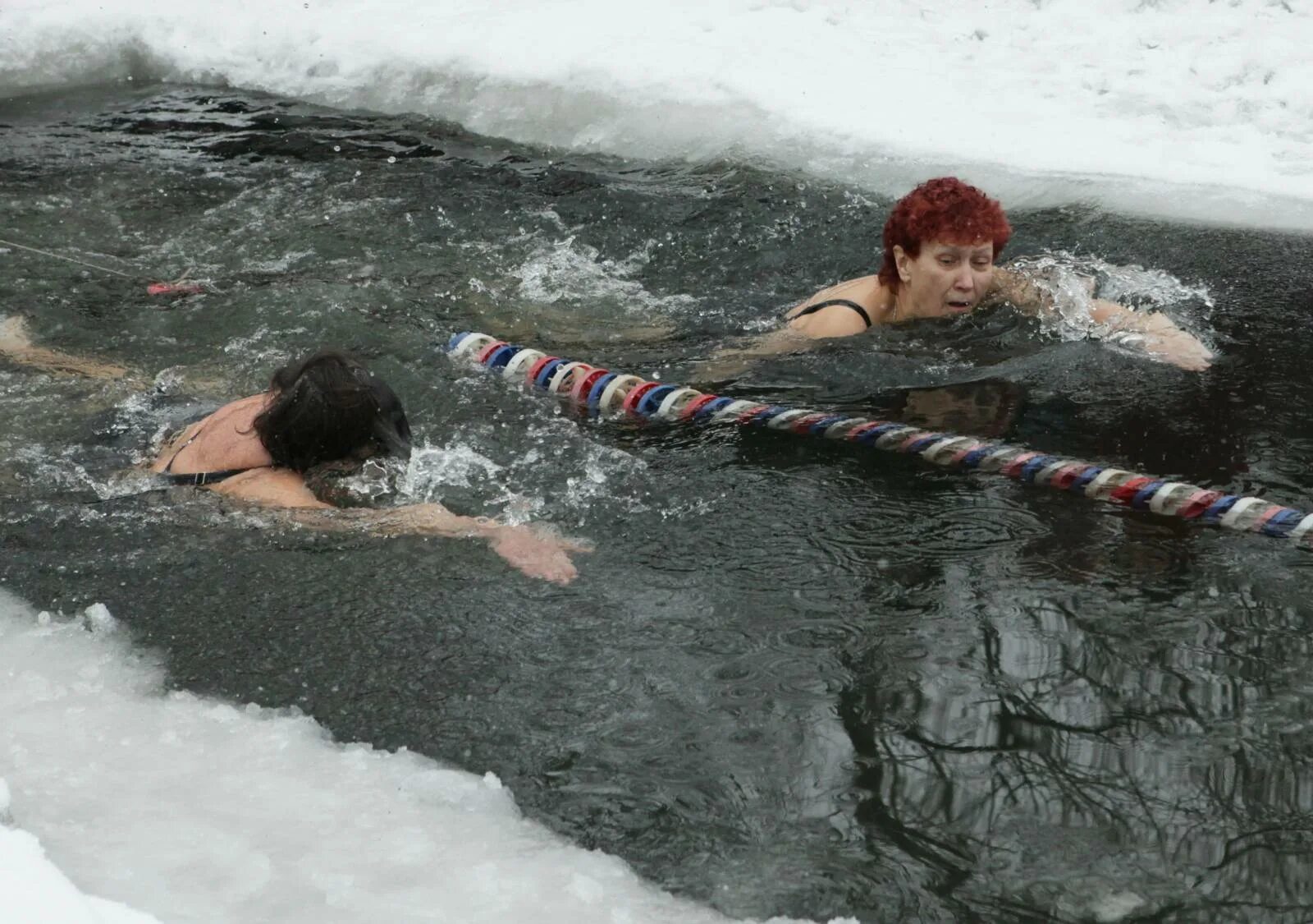 моржихи липецка. моржи липецк. липецкие моржи. 8 марта у моржей. моржи липецка.