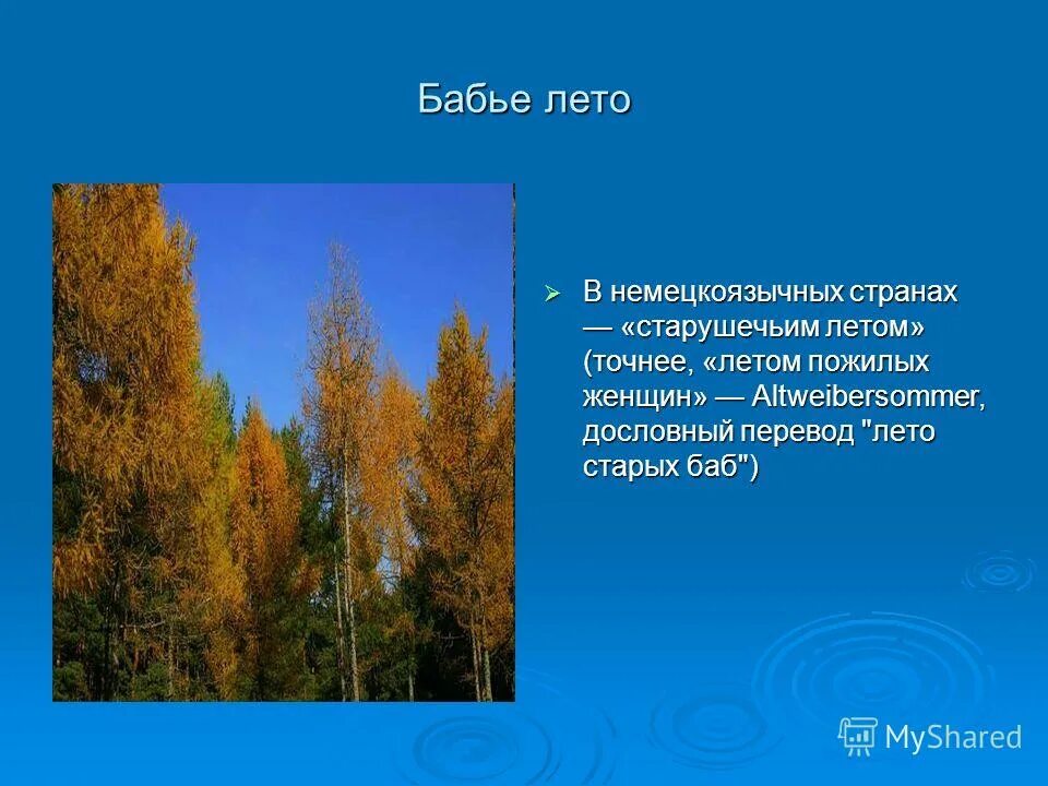 Бабье лето рассказ. Бабье лето презентация. Сочинение бабье лето. Сочинение о бабьем лете. Бабье лето рассказ.