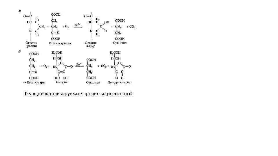 Реакции катализируемые витамином b7. Реакции катализируемые витамином в5. Гидроксилирование лизина биохимия. Реакции катализируемые витамином с.