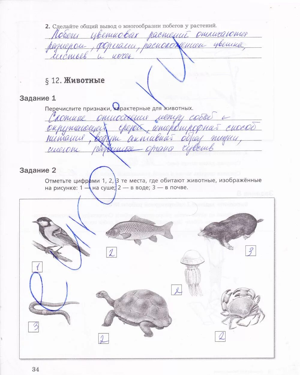 Биология 5 класс рабочая тетрадь стр 76. Биология 5 класс рабочая тетрадь стр 34. Биология 5 класс рабочая тетрадь страница 34. Признаки характерные для животных 5 класс биология рабочая тетрадь. Перечислите признаки характерные для животных биология 5 класс.