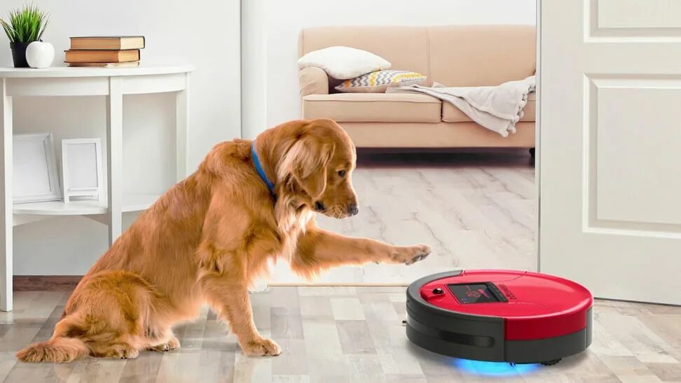 Pet cleaning. Робот пылесос Vacuum Cleaner. Робот пылесос с животными. Робот пылесос и собака. Робот пылесос для уборки шерсти животных.