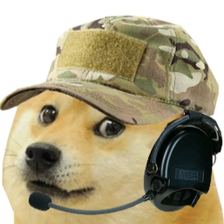 Ава собака мем. Собака в каске военной. Доги военный. Доги в шапке. Собака в военной шапке.