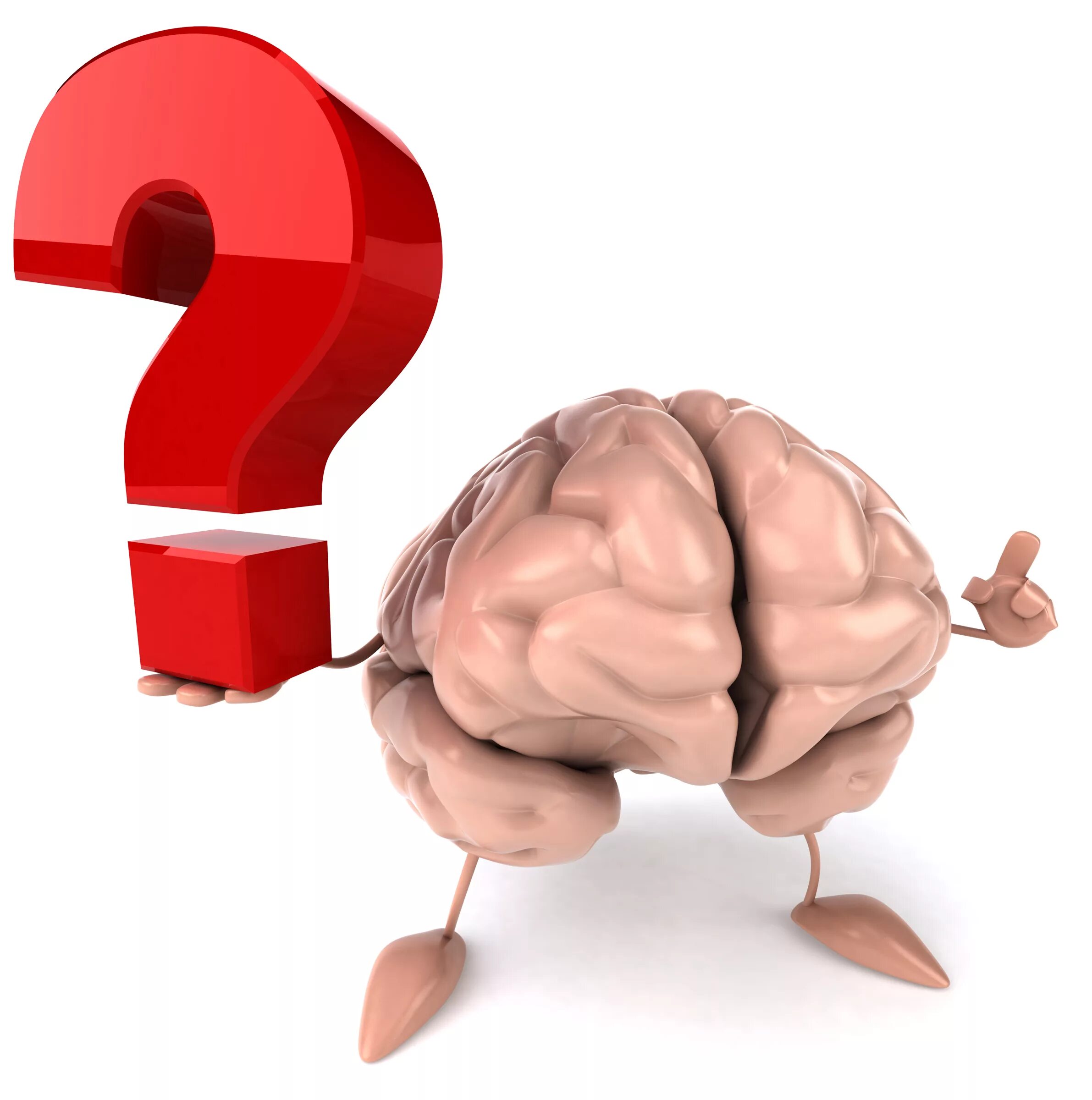 Brain questions