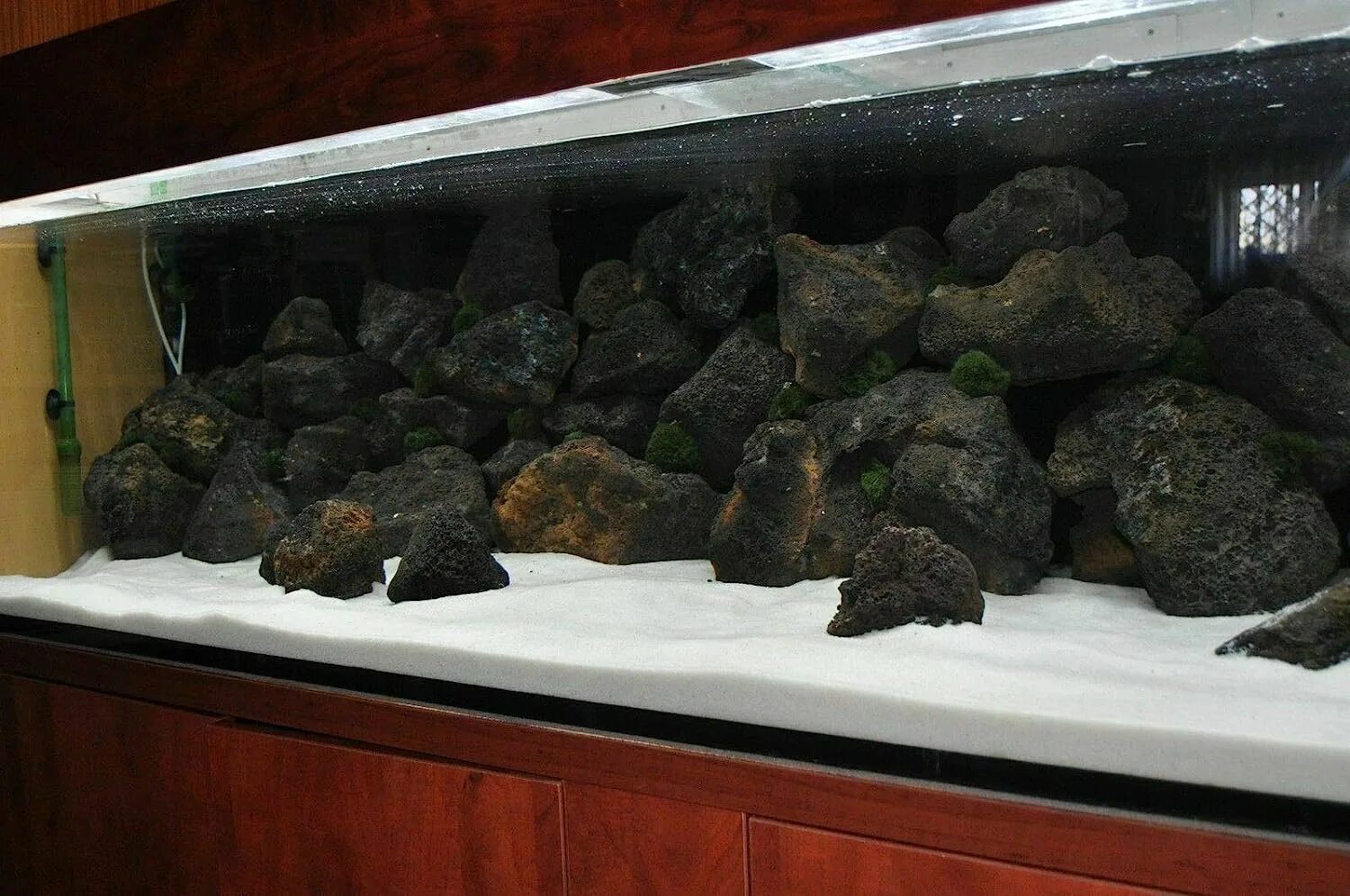 Aquariumhintergründe mit einem speziellen Verfahren. Sehr gute Auswahl und fabel