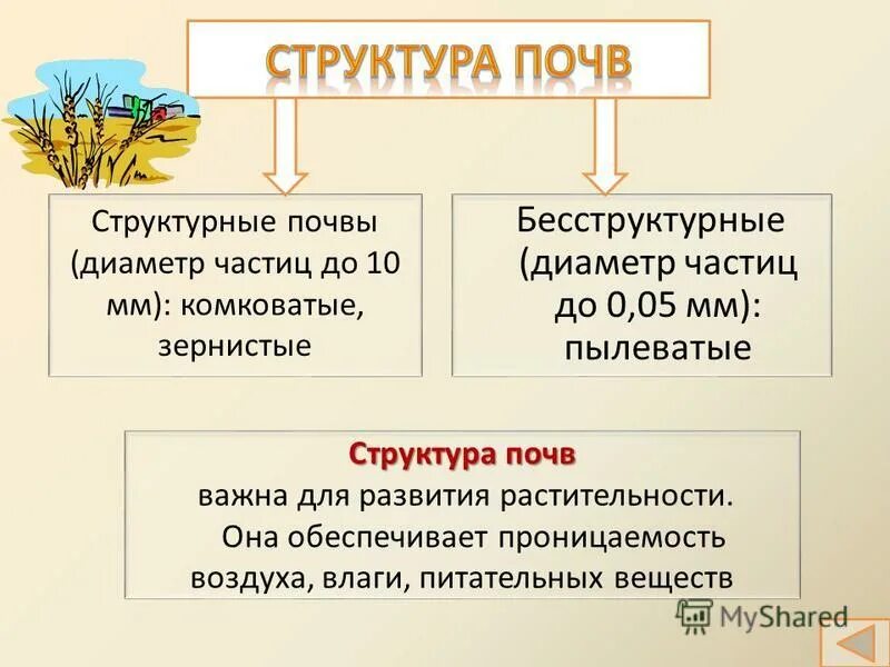 Как определяют структуру почвы 5 класс кратко. Как определяют структуру почвы 5 класс кратко. Черноземы глинистые почвы супесчаные почвы. Строение почвы. Структура почвы определяет её способность.