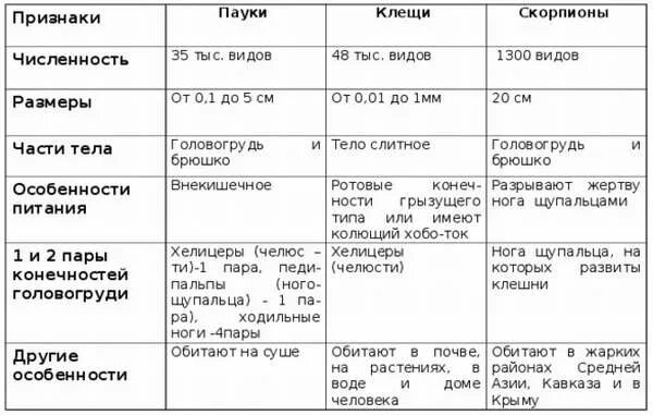 Отделы тела паукообразных таблица. Отряды паукообразных таблица. таблица паукообразные 7 класс. характеристика паукообразных таблица. таблица паукообразные 7 класс биология.