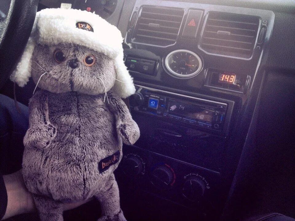 Кот саунд. Басик игрушка лаунж саунд. Кот басик прайд. Басик лоуд саунд. Кот басик автозвук.