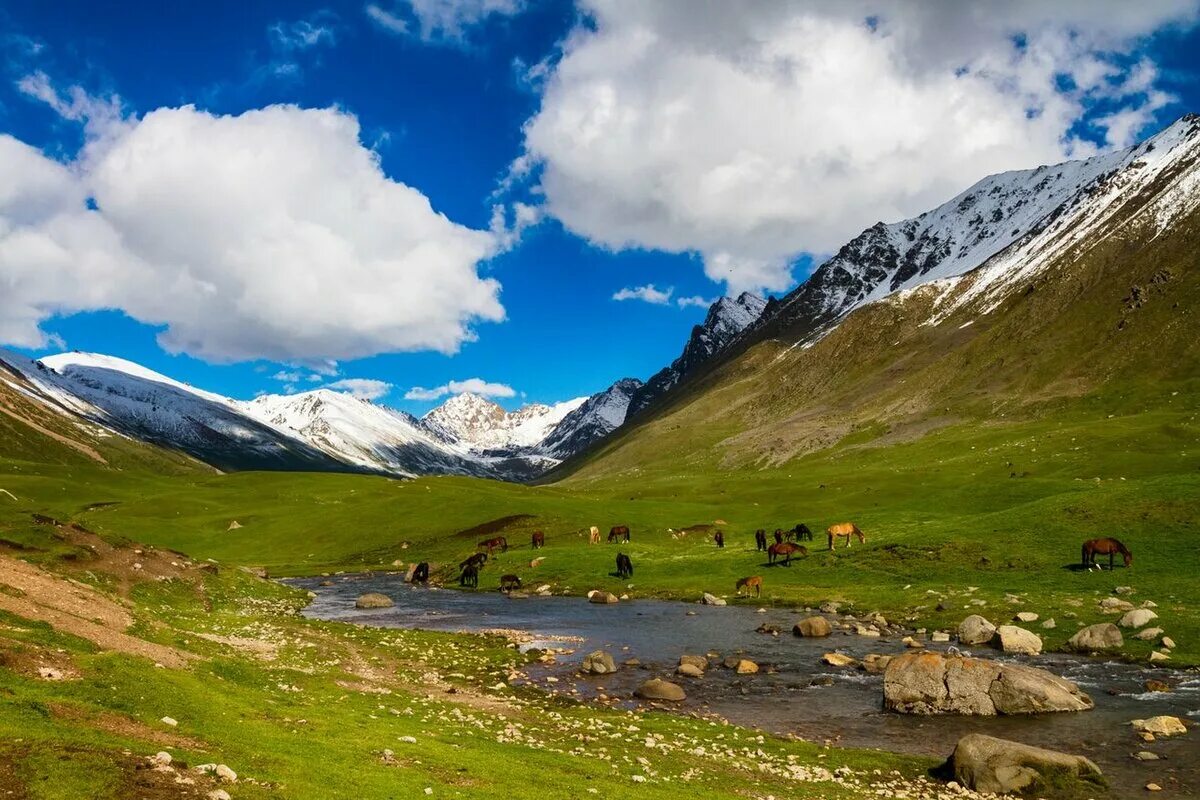 Южная киргизия. Киргизия горы Долина Арашан. Киргизия горы Тянь-Шань. Ущелье Алтын Арашан. Ала-ТОО Киргизия горы.