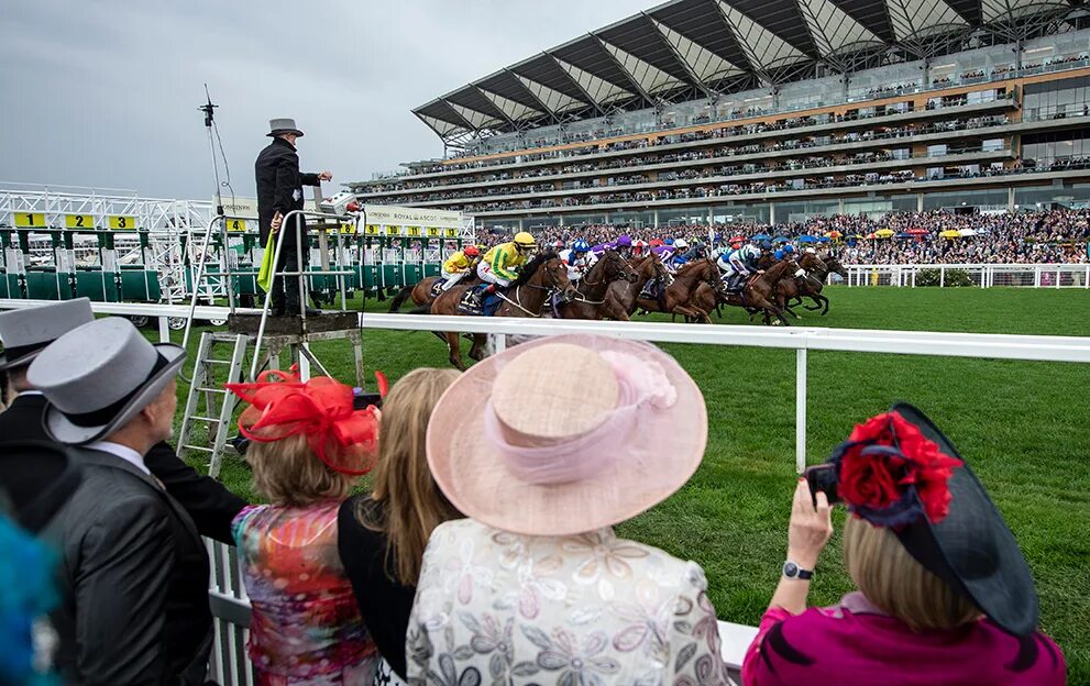 Ascot horse race. Скачки. Royal ascot race. Ascot races. Ascot horse race.