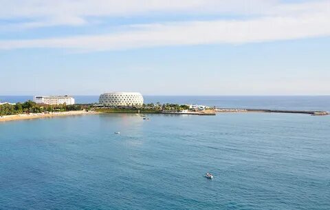 Gold island ex sentido gold island