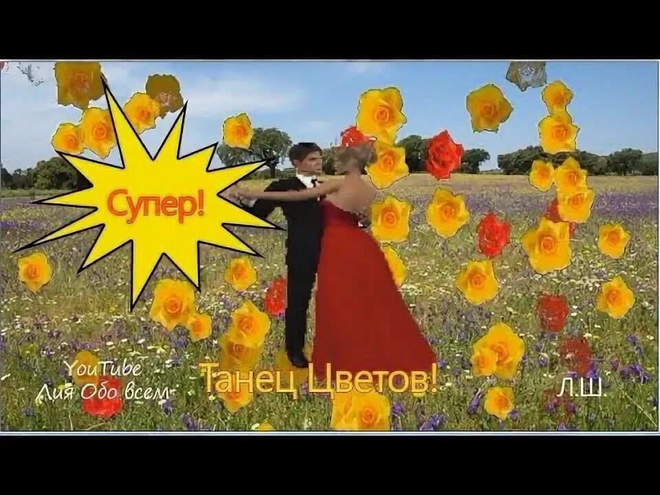Танец цветов mp3. Танец цветов видео. баян в цветах.