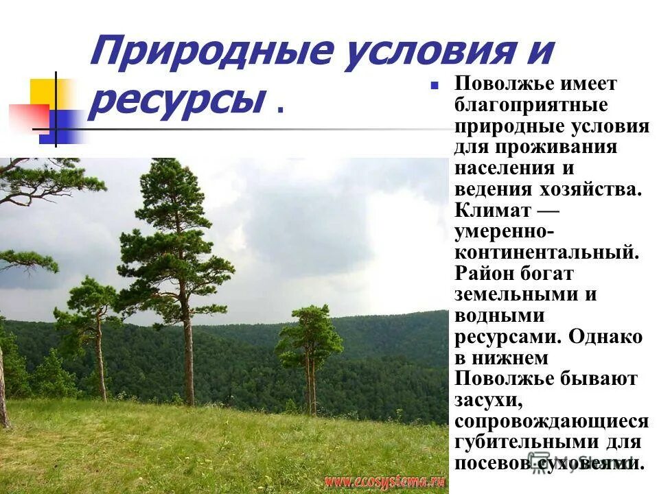 Природные условия Поволжья. Природные условия и ресурсы Поволжья. Природные условия и ресурсы Поволжского района. Условия жизни Поволжья.