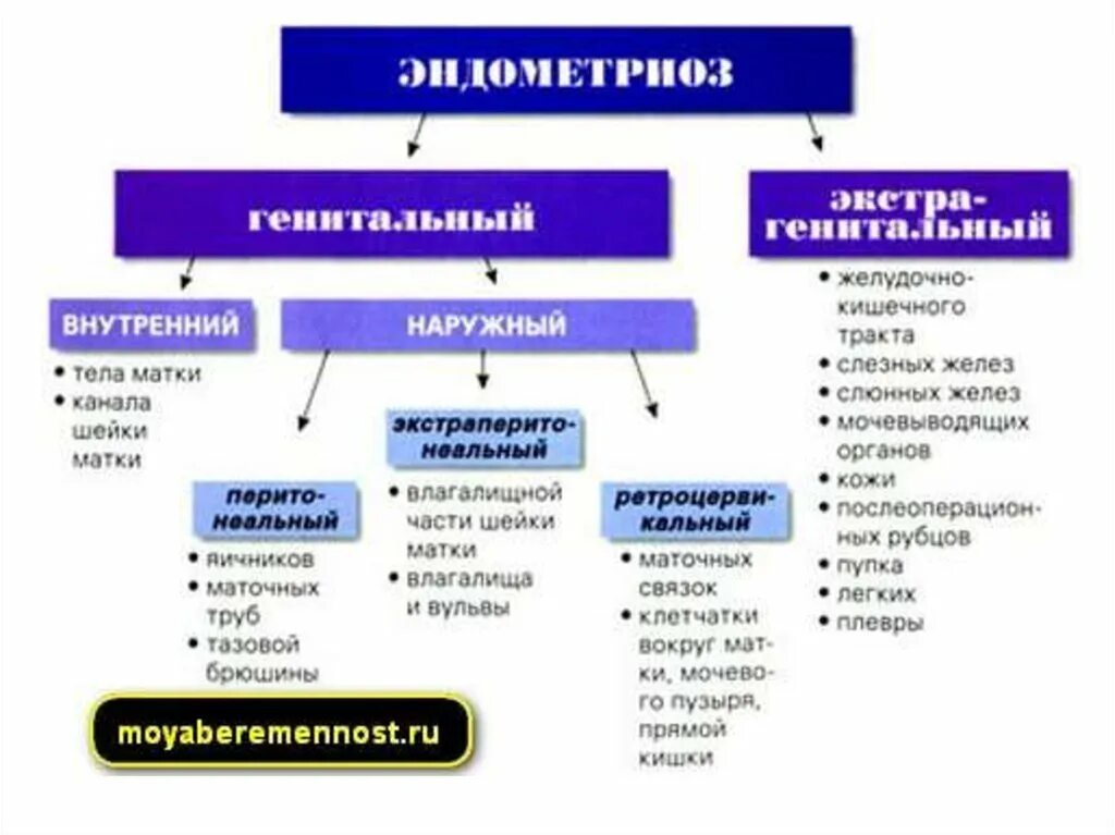 Эндометриоз признаки симптомы лечение. Классификация наружного эндометриоза. Классификация наружного генитального эндометриоза. Классификация эндометриоза по происхождению. Классификация экстрагенитального эндометриоза.