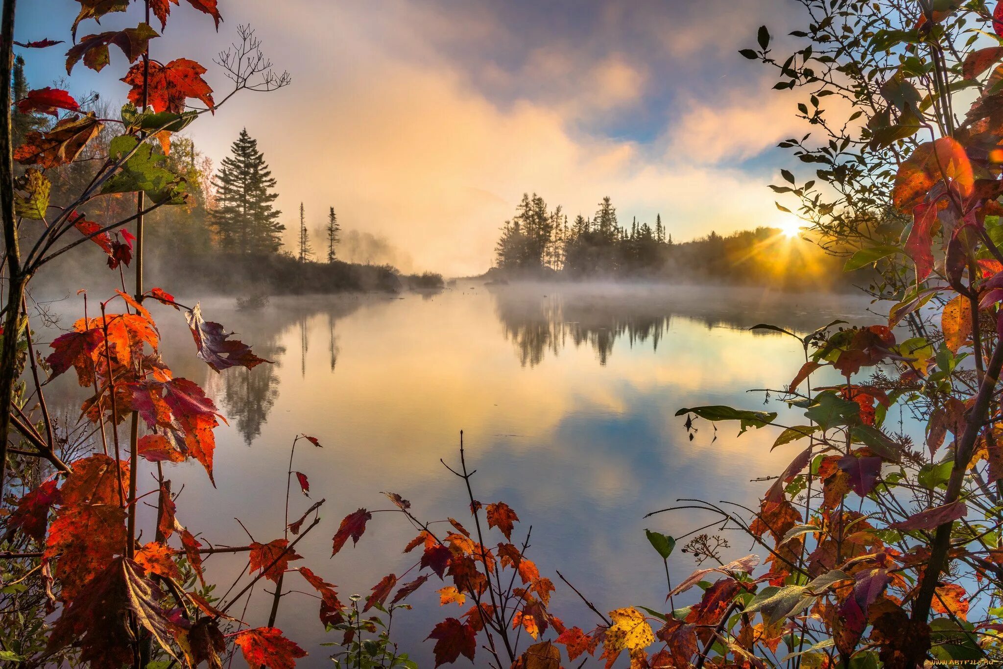 Осеннее озеро. Осеннее утро. Природа осень. Красивая осень. Ранним утром сентября