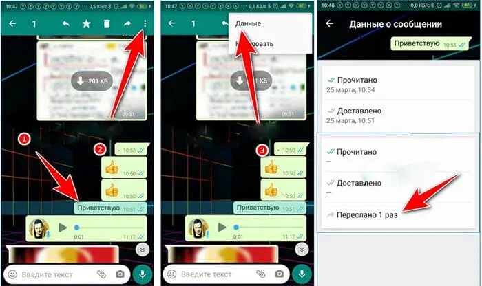 Пересланное сообщение в вотсапе. Пересланное сообщение в вотсапе