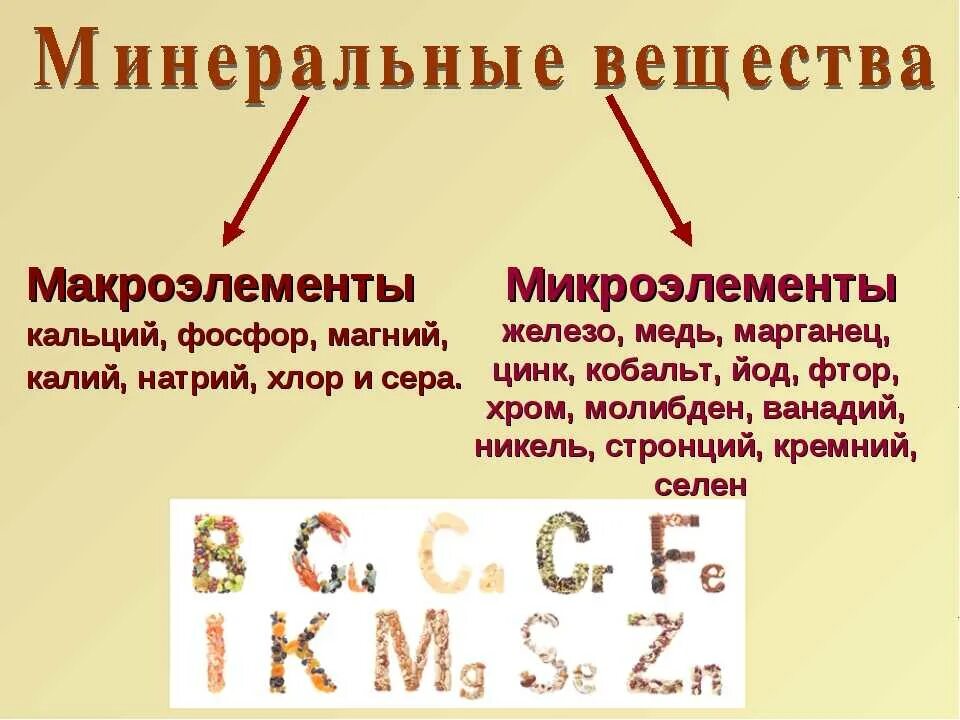 Белок является микроэлементом. Макроэлементы. Макро и микроэлементы. Минеральные вещества микро и макроэлементы. Минеральные вещества макро и микро элементы.