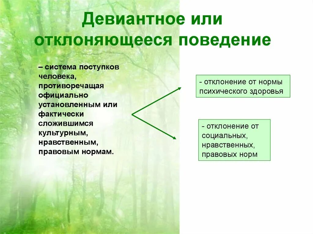 Поведение не соответствующее установленным в обществе нормам. Иные условия тд. Установленным или фактически сложившимся в. Установленным или фактически сложившимся в. Исчерпывающий список это.
