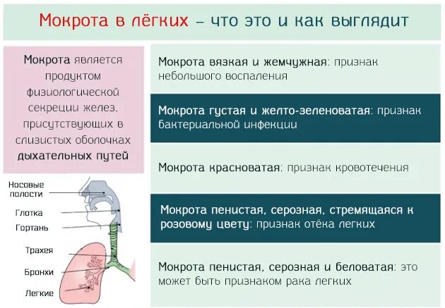 Пенистая мокрота заболевания. Мокрота кашель отходит. Причина откашливания мокроты.