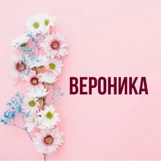 Кому чему веронике