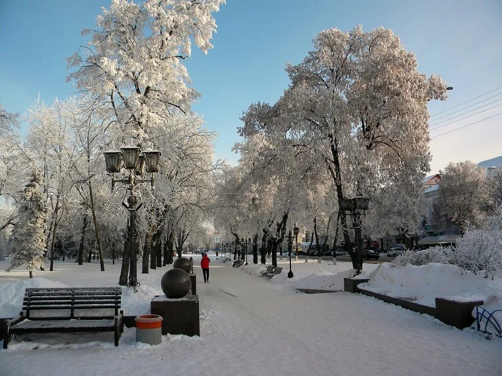 Городской парк Саратова Саратовский гид Дзен