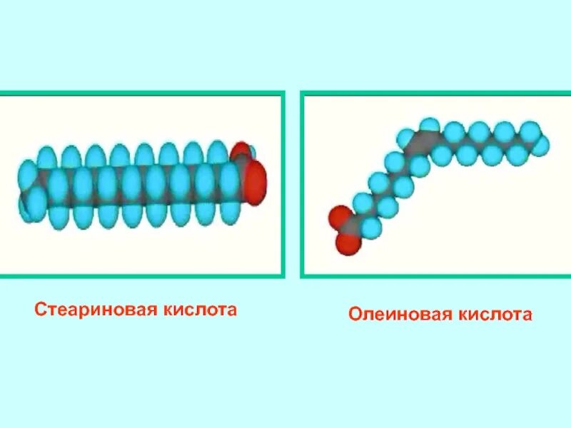 Олеиновая кислота стеариновая кислота. Карбоновые кислоты стеариновая. Олеиновая кислота стеариновая кислота реакция. Стеариновая кислота из олеиновой. Как получить стеариновую кислоту