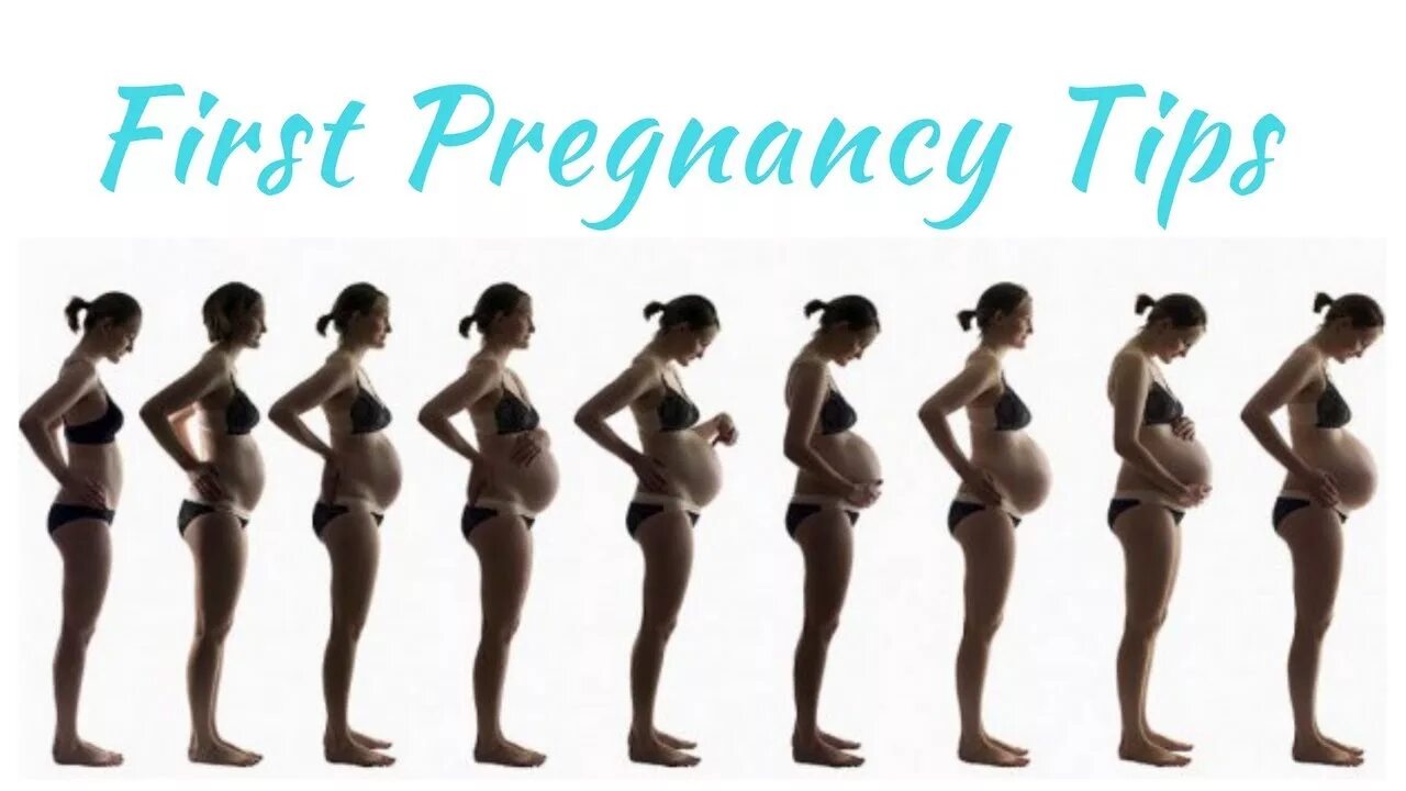 Когда первая беременность начнет расти. Как растет живот по неделям беременности. Рост живота у беременных по месяцам. Рост живота при беременности по неделям. Вид живота по неделям беременности.
