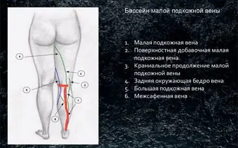 Вен расшифровка