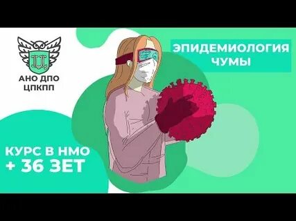 Чума 2024