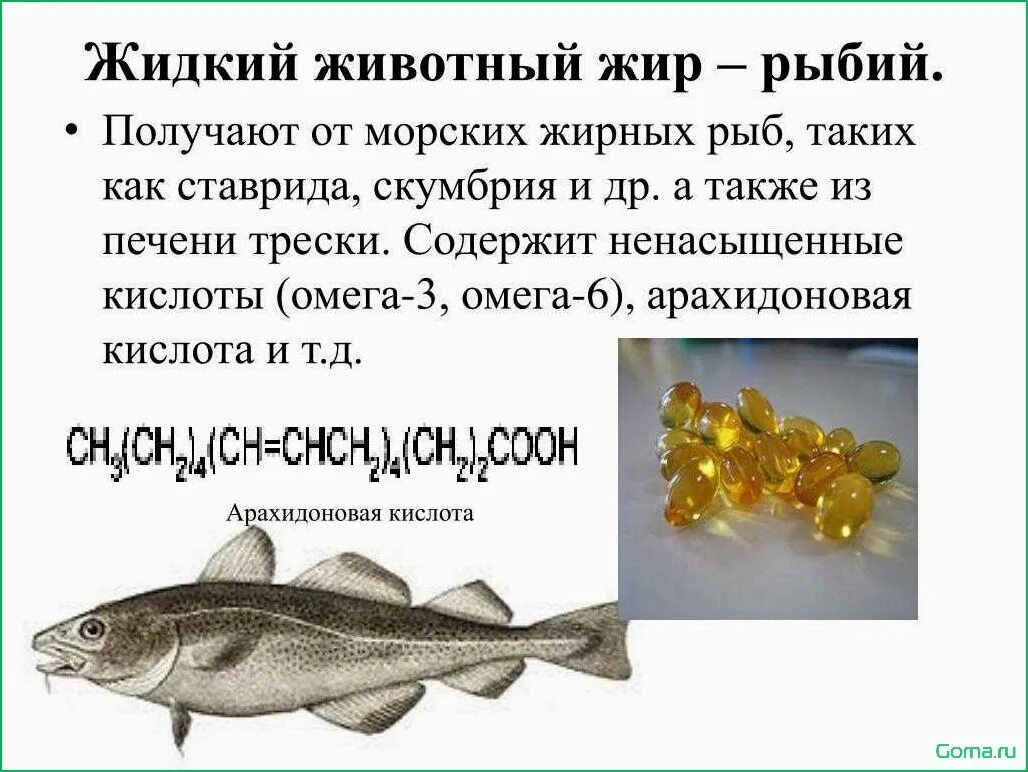 Жир рыбы eCookie.ru