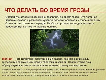 Назови свои действия при грозе