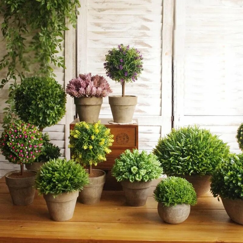 Горшечные растения. Декоративные растения для интерьера. Декоративные комнатные растения. Искусственные растения в интерьере.