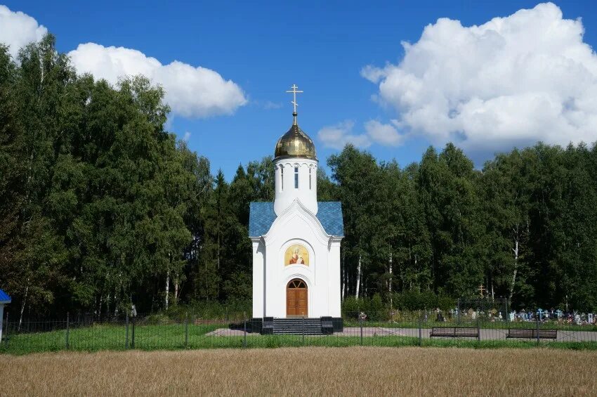 Курцево нижегородская область речка узола. Курцево нижегородская. Курцево ферма. Курцево сыр городецкая сыроварня. Конный клуб курцево в городце.