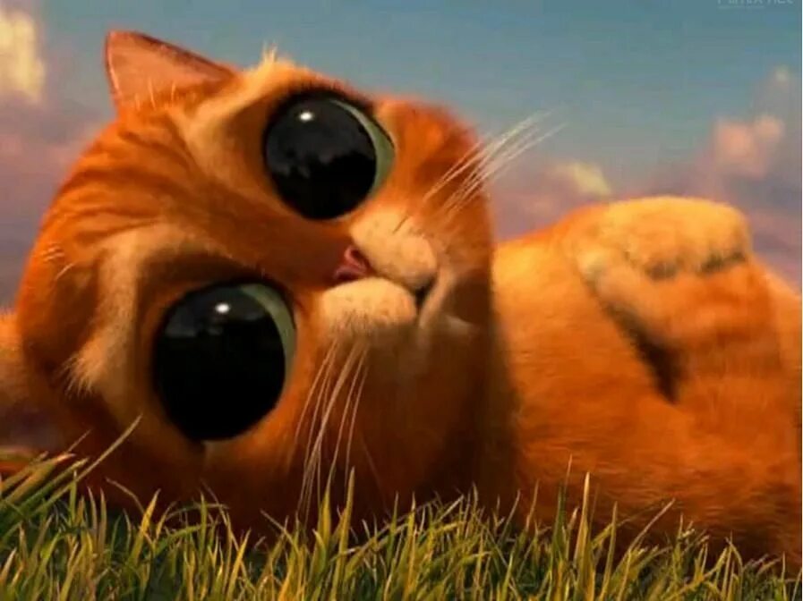 My cat sometimes looks oddly familiar - Imgur