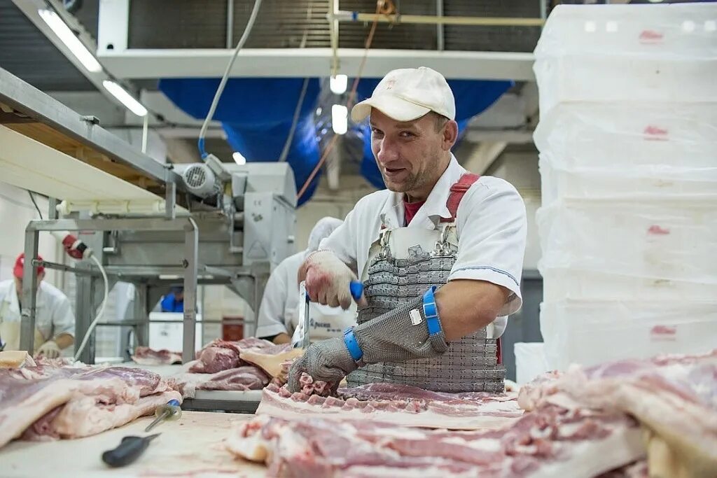 Мясоперерабатывающие предприятия. Мясная промышленность. Гл механик мясокомбината вакансии. Павловский мясокомбинат агроэко. Гл механик мясокомбината вакансии.