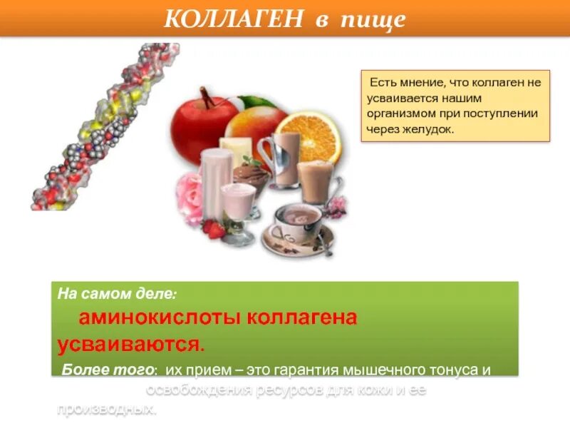 Еда для выработки коллагена. Коллаген в продуктах. Усвоение коллагена в организме. Коллаген усваивается организмом.